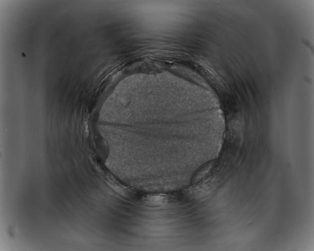 X0000097670325200803281018
