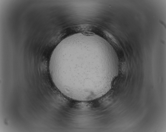 X0000097670326200803281018