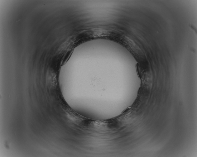 X0000097670327200803281018