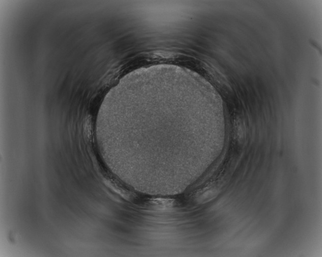X0000097670328200803281018