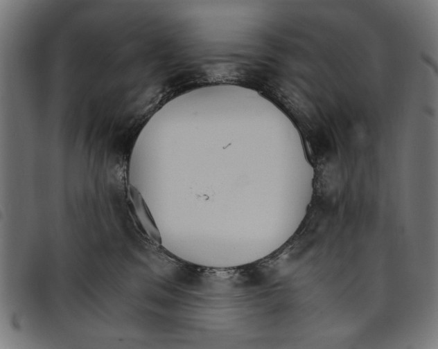 X0000097670329200803281018