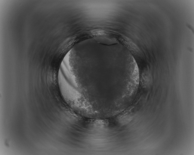 X0000097670330200803281018