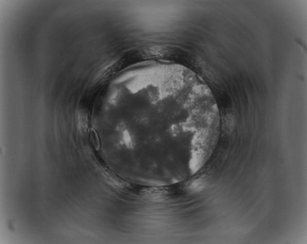 X0000097670331200803281018