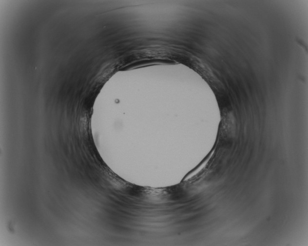 X0000097670333200803281018