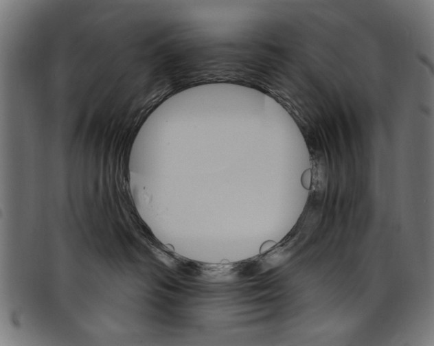 X0000097670334200803281018