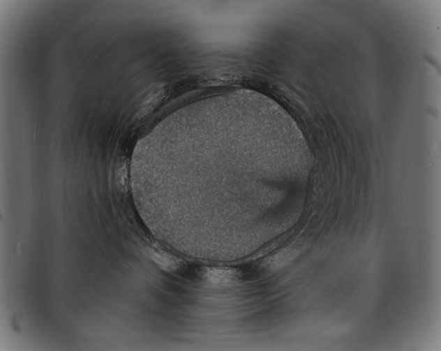 X0000097670336200803281018