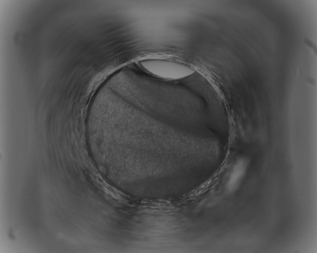 X0000097670337200803281017