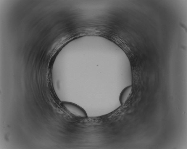 X0000097670338200803281017