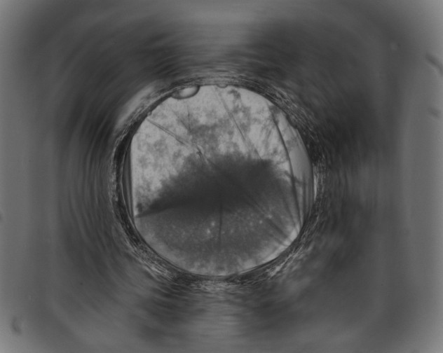 X0000097670339200803281017