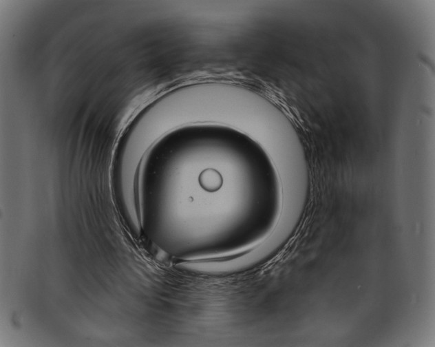 X0000097670340200803281017