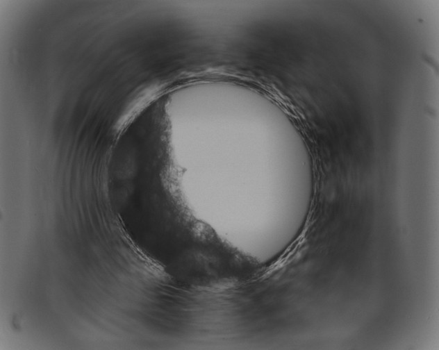 X0000097670341200803281017