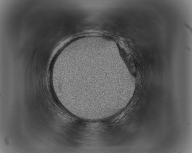 X0000097670342200803281017