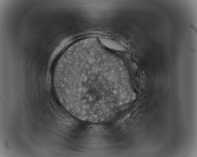 X0000097670343200803281017