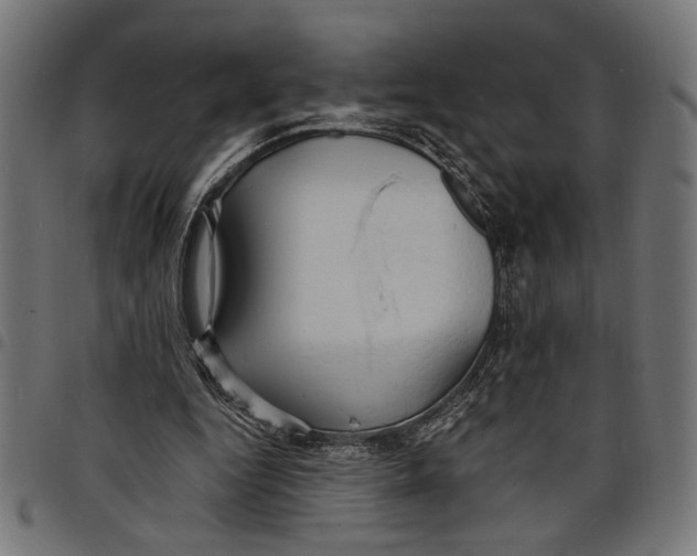 X0000097670344200803281017