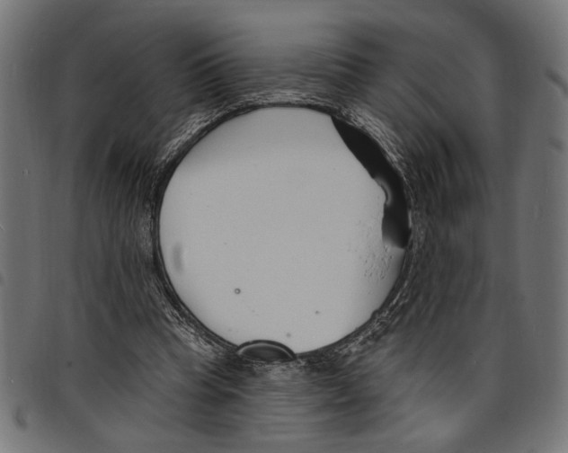 X0000097670345200803281017
