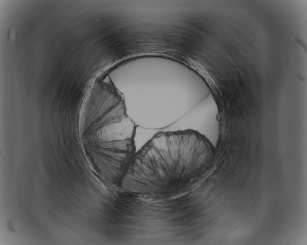 X0000097670346200803281017