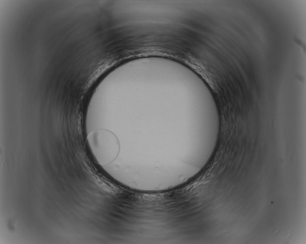 X0000097670347200803281017