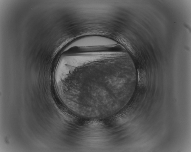 X0000097670348200803281017