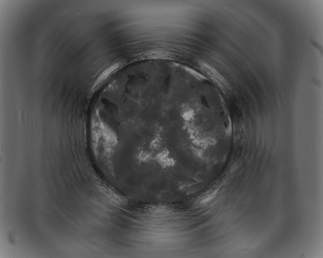 X0000097670349200803281017