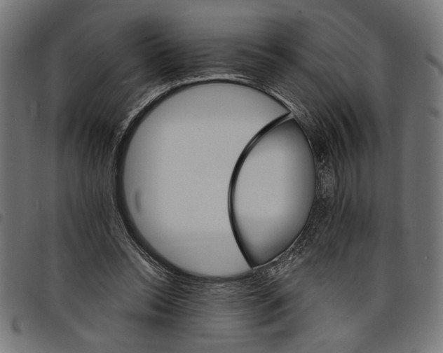 X0000097670350200803281017