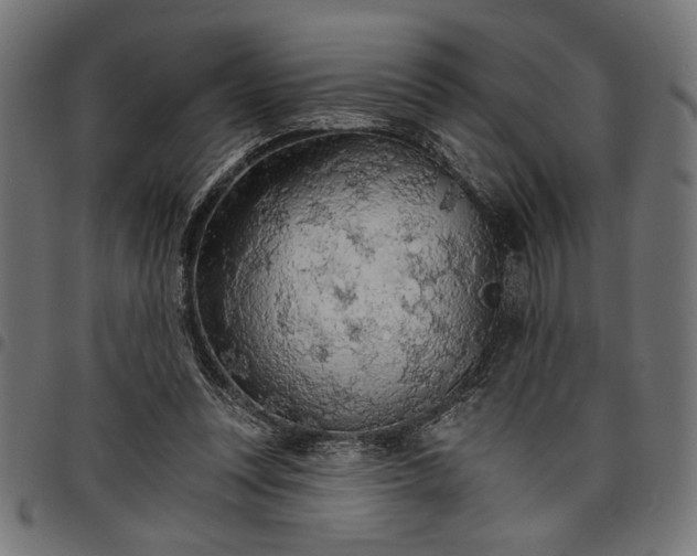 X0000097670351200803281017