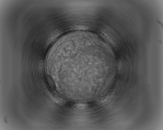 X0000097670352200803281017