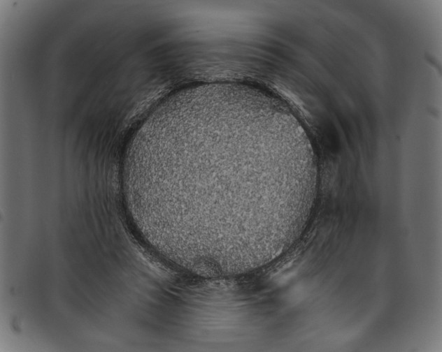 X0000097670353200803281017