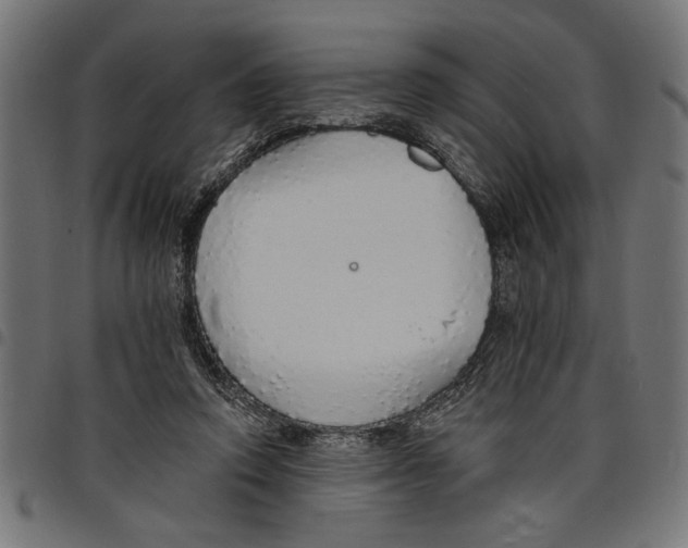 X0000097670354200803281017