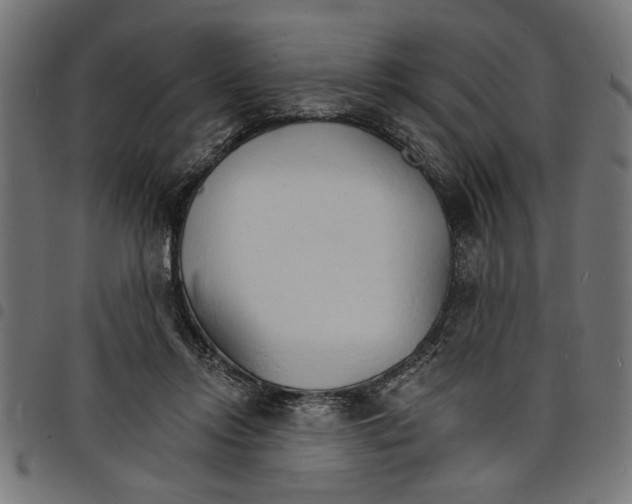 X0000097670358200803281017