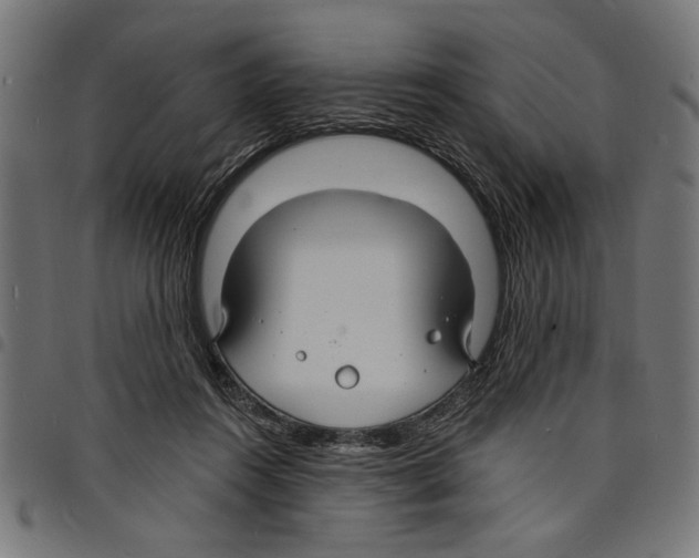 X0000097670360200803281017