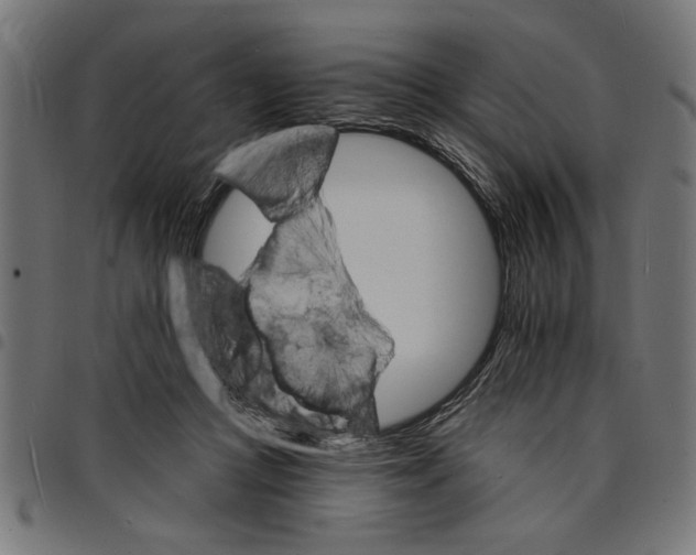 X0000097670361200803281017