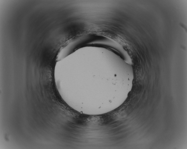 X0000097670362200803281017
