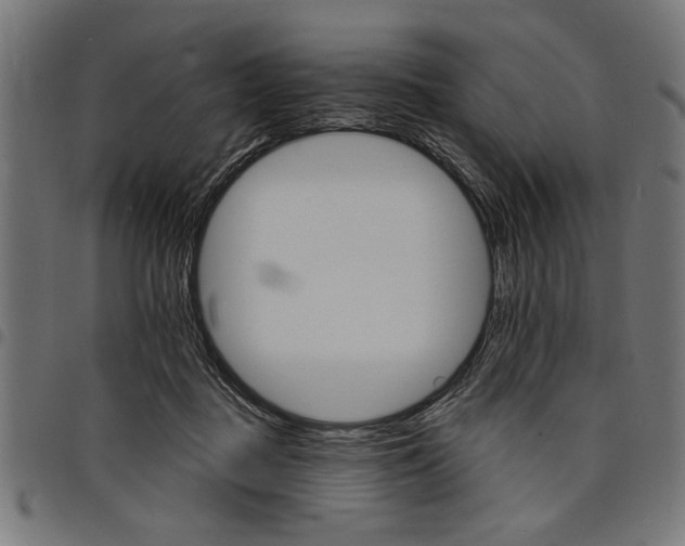 X0000097670363200803281017