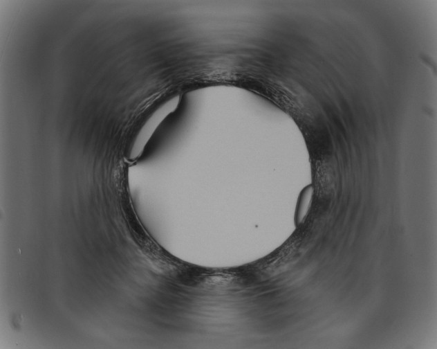 X0000097670364200803281017