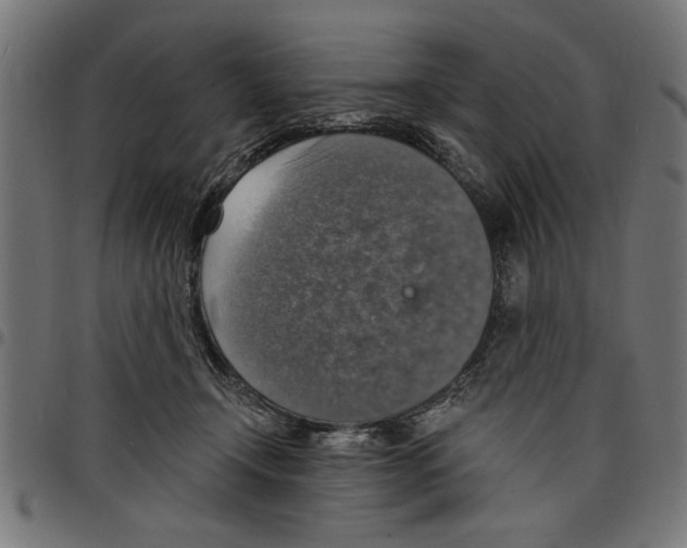 X0000097670366200803281017