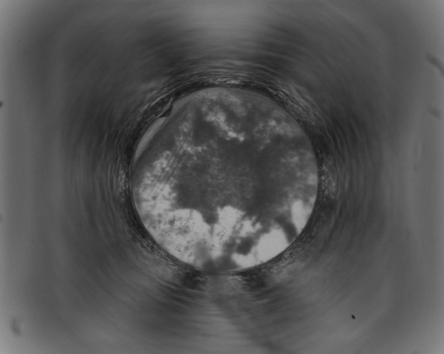X0000097670371200803281018