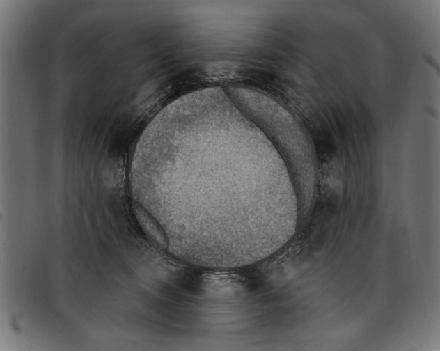 X0000097670372200803281018