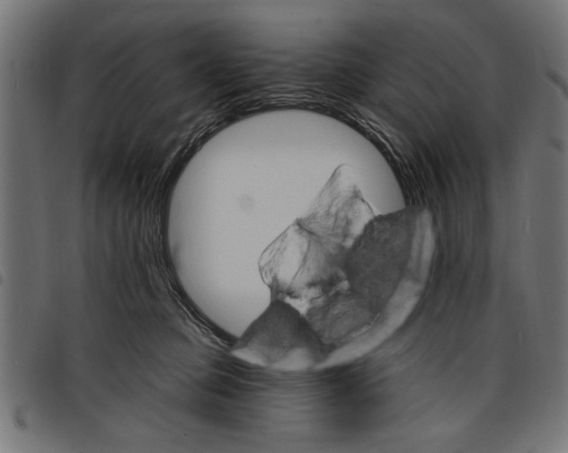 X0000097670373200803281018