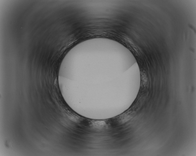 X0000097670374200803281018