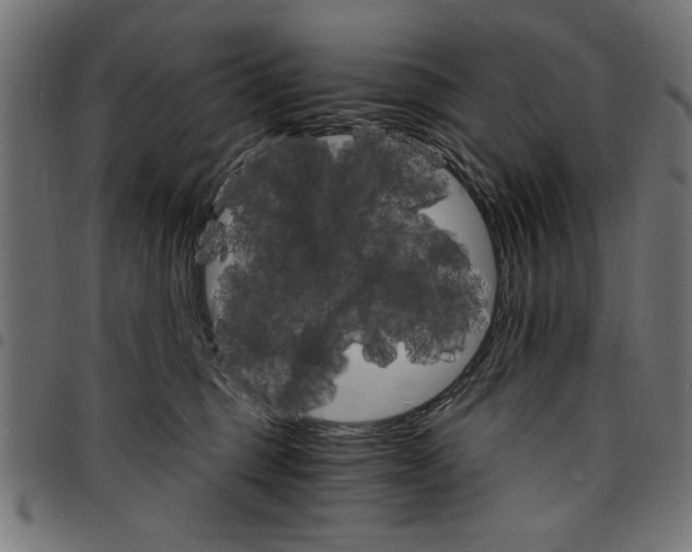 X0000097670375200803281018