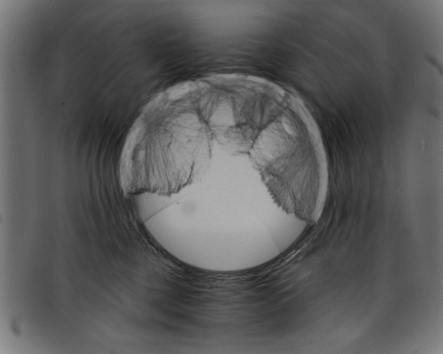 X0000097670377200803281018