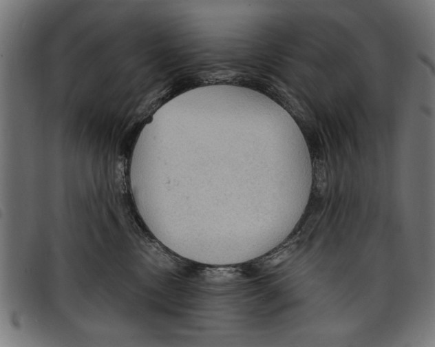 X0000097670378200803281018