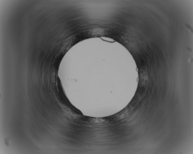 X0000097670379200803281018