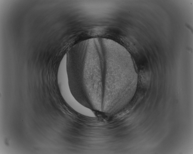 X0000097670380200803281018