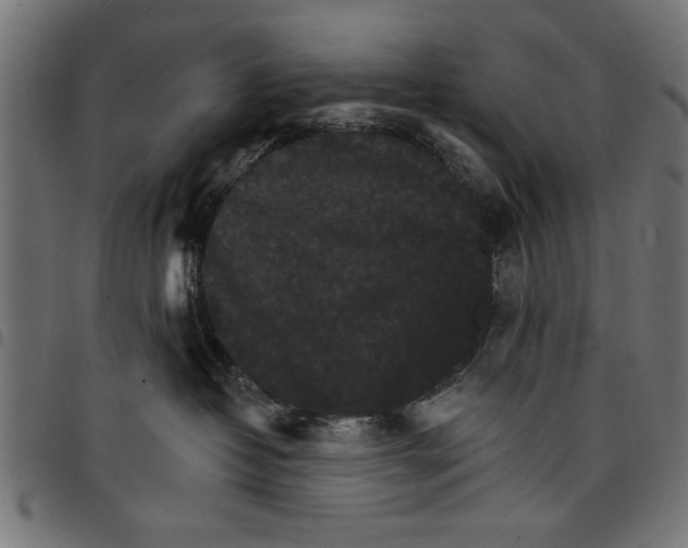 X0000097670382200803281018