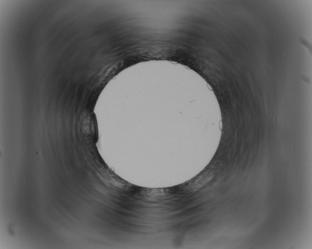 X0000097670384200803281018