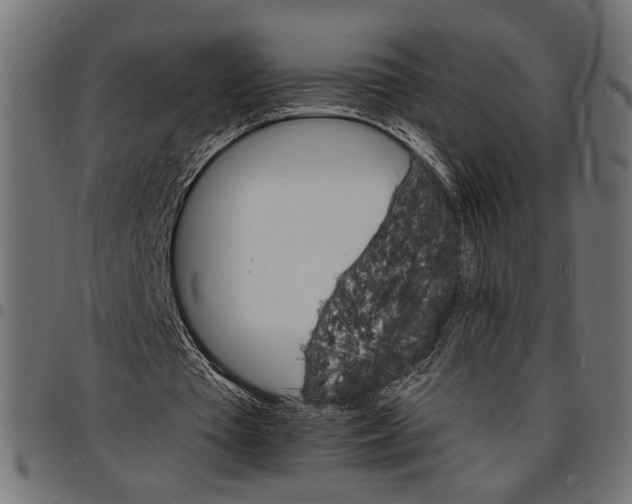 X0000097670385200803281017