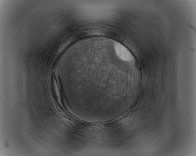 X0000097670386200803281017