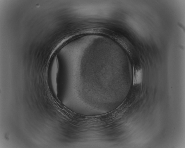 X0000097670387200803281017