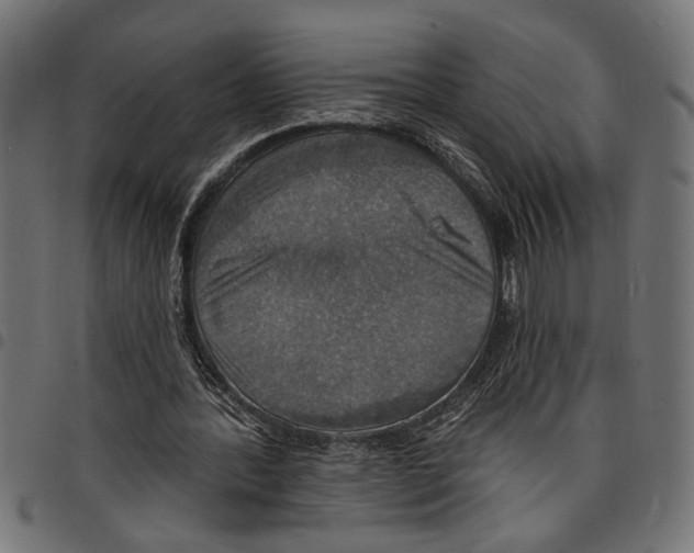 X0000097670388200803281017